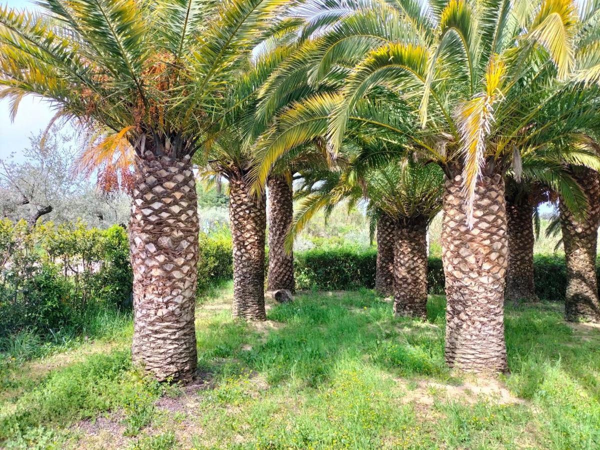 Le Palme Apartman Ortona Kültér fotó