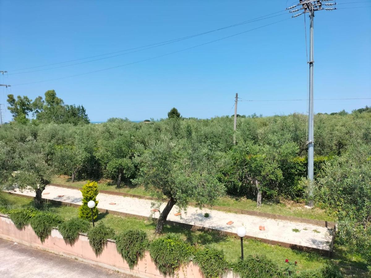 Le Palme Apartman Ortona Kültér fotó