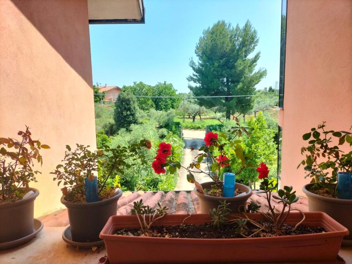 Le Palme Apartman Ortona Kültér fotó